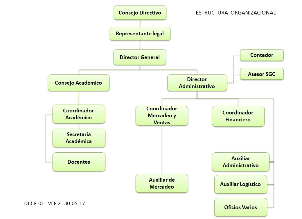 Estructura organizacional